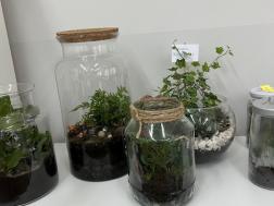 galeria