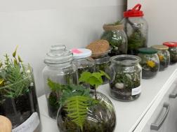 galeria
