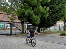 galeria